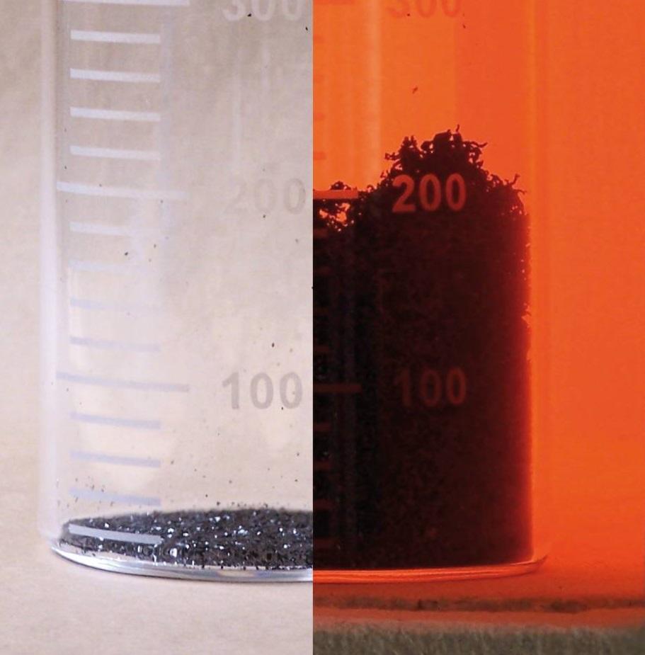 Dynamic Content Image